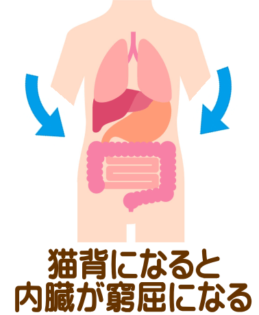 猫背になると内臓が窮屈になる