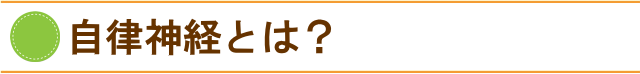 自律神経とは